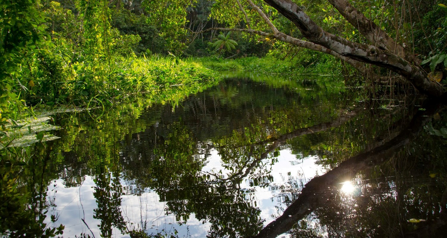 Luxury Travel Tour To Ecuador Amazon River