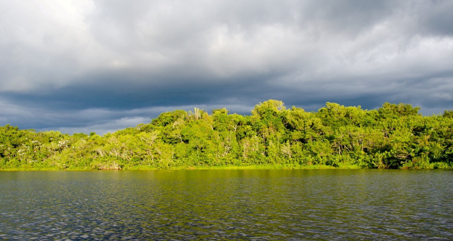 Luxury Travel Tour To Ecuador Amazon Scenery