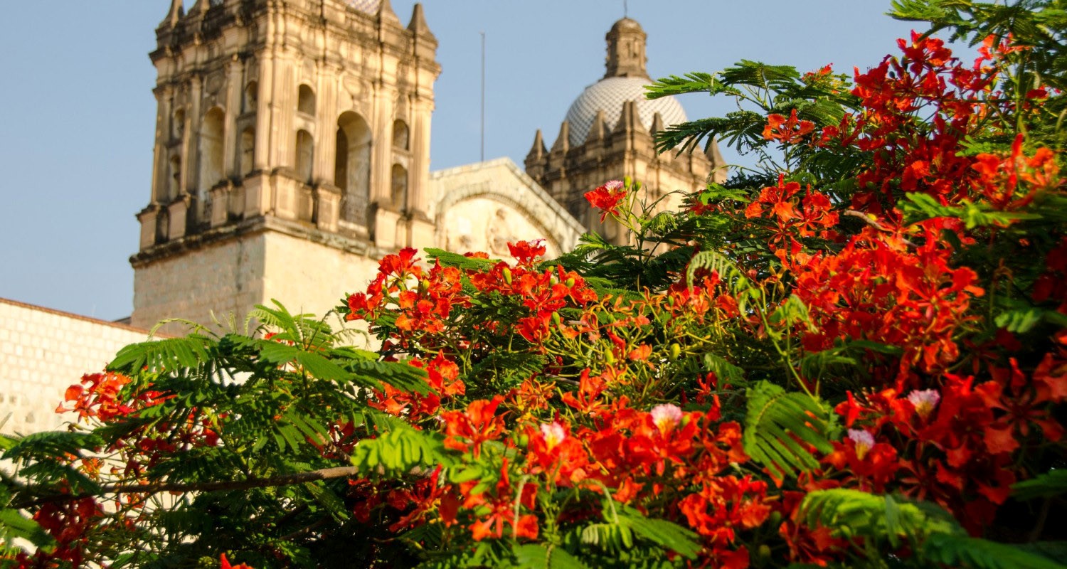 Luxury Travel Tour Vacation To Mexico Oaxaca Colorful Cathedral