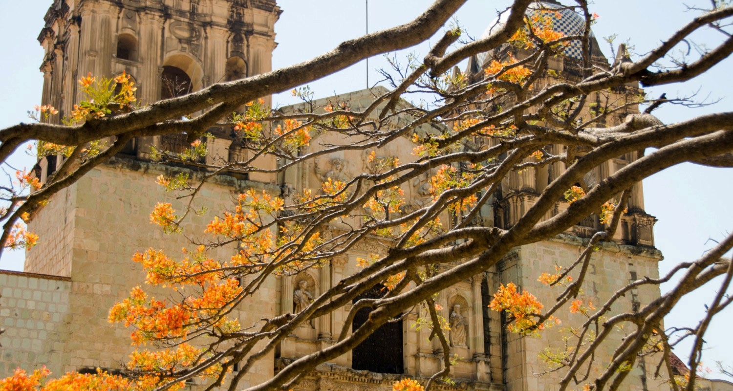 Luxury Travel Tour Vacation To Mexico Oaxaca Convent Of Santo Domingo